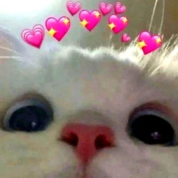 🧝🏽‍♀️ photo