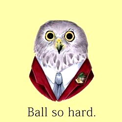 Hilarious Owl Cartoon by Shaun Hardcastle - Ball So Hard.