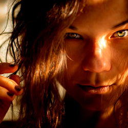 VikTory: A Los Angeles Model