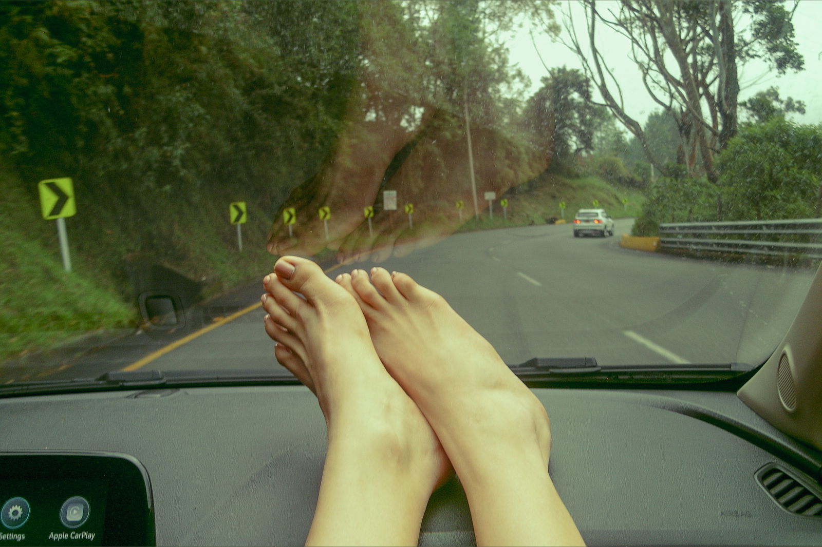 Ártica Copper photo