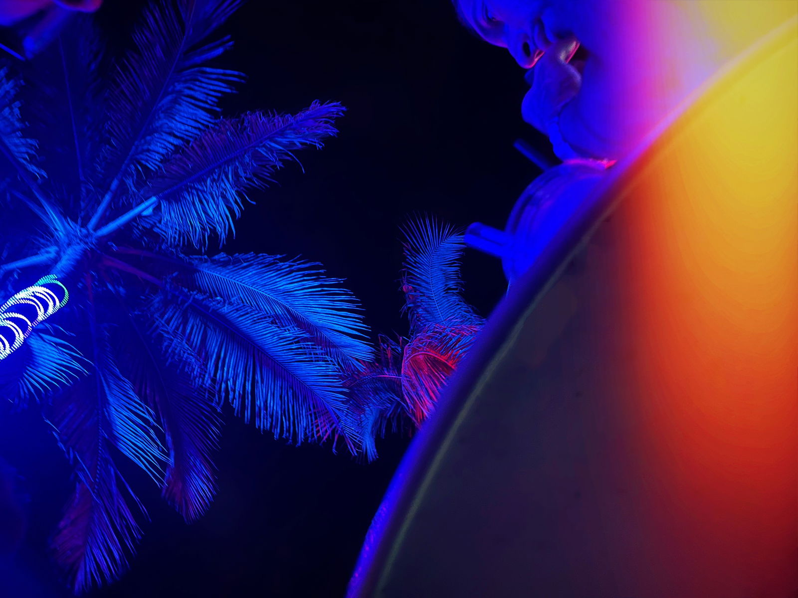 Alexandra Quinn photo