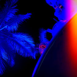 Alexandra Quinn photo