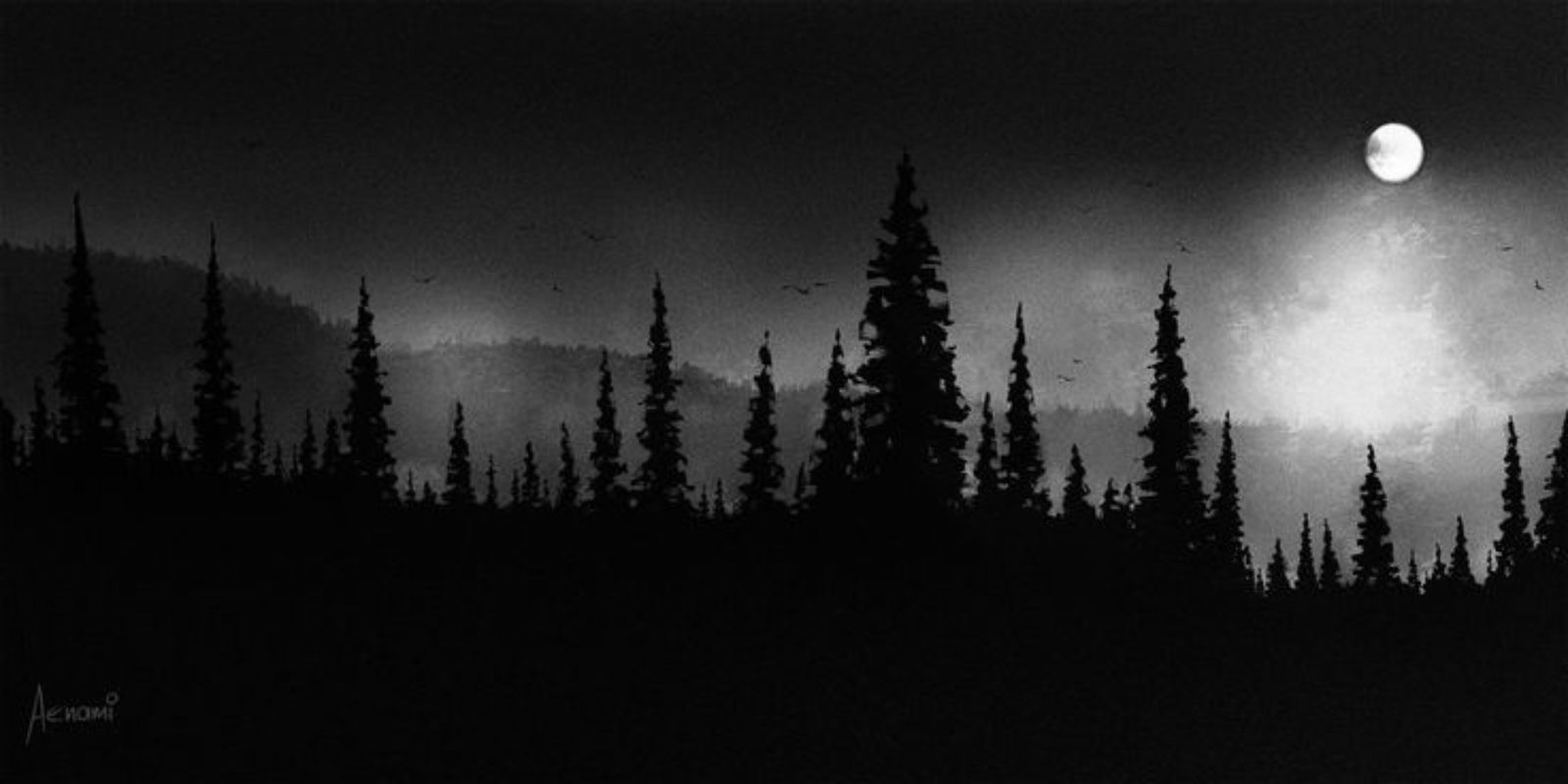 Raven 🐦‍⬛ photo