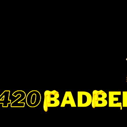 420badbee photo