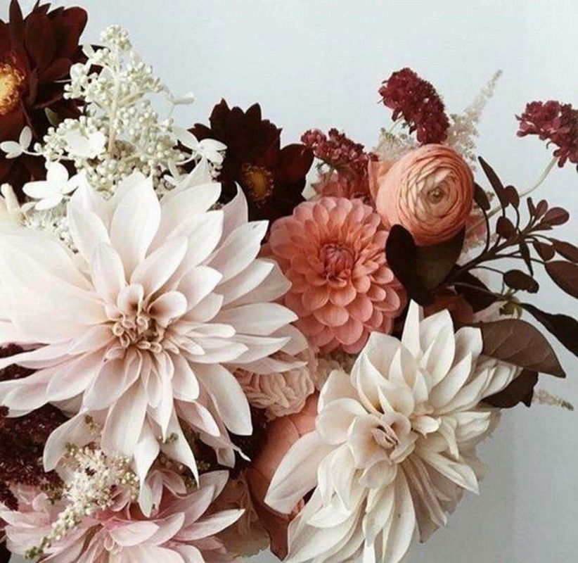 Angelica Skyes ✨ photo