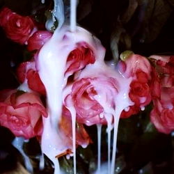 🍭Candy❤️‍🔥 photo