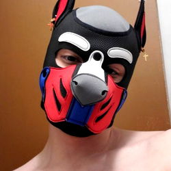 Onlyfans Model Sir Royal in Dog Mask Taking Selfie