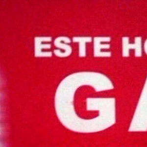 michael koors lite photo