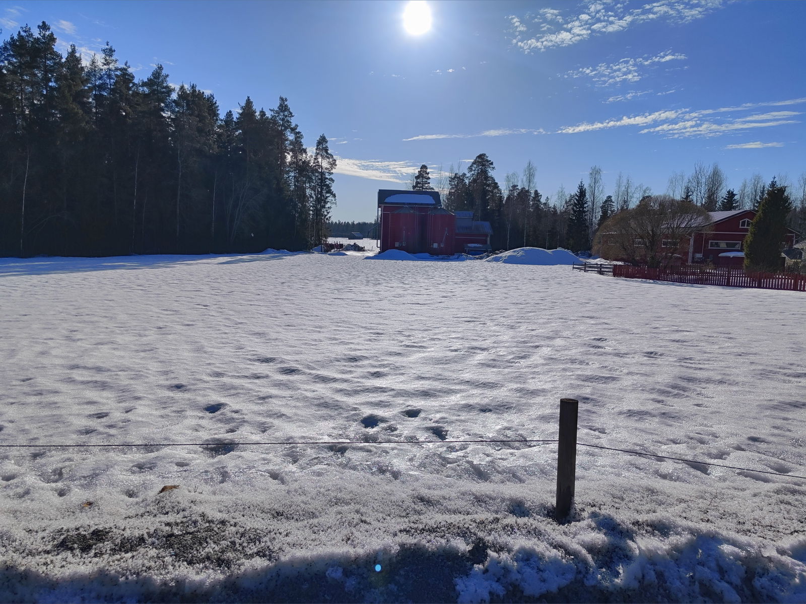 🅰🅰🅽🆈🅰🅷 photo