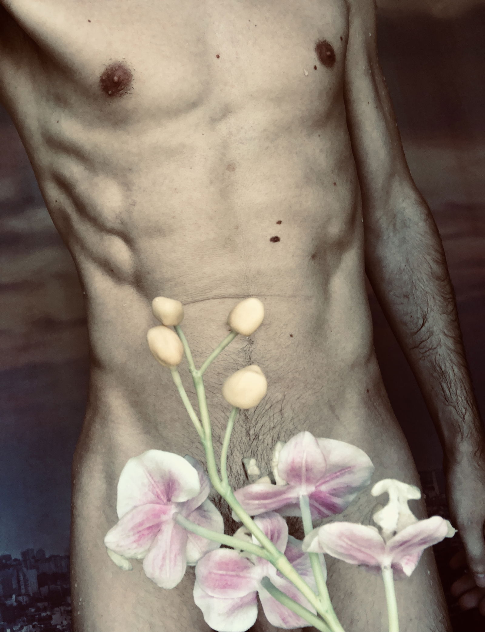 funguy from yuggoth photo