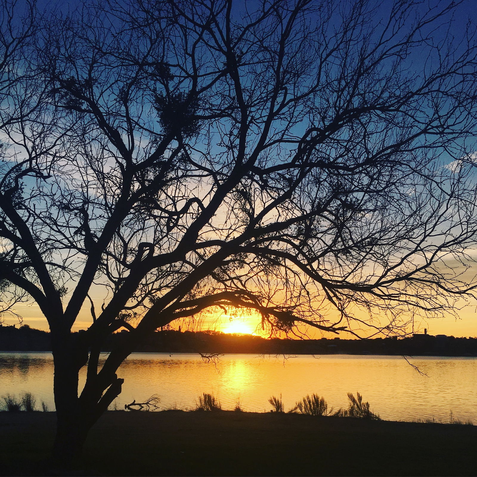 AnnieThingYouLike photo