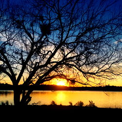 AnnieThingYouLike photo