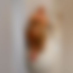 Phoebe knight | Your New Obsession ๐ photo