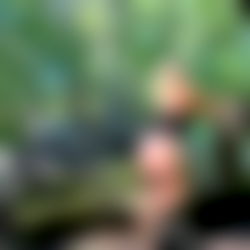 Southern Kate VIP photo