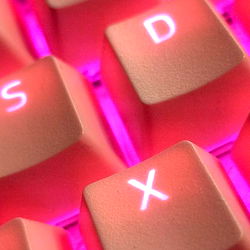 Amylovioficial photo