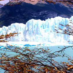 Scenic View of Glacier and Lake with Autumnal Colors