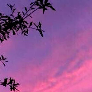 FFETSAS โก photo