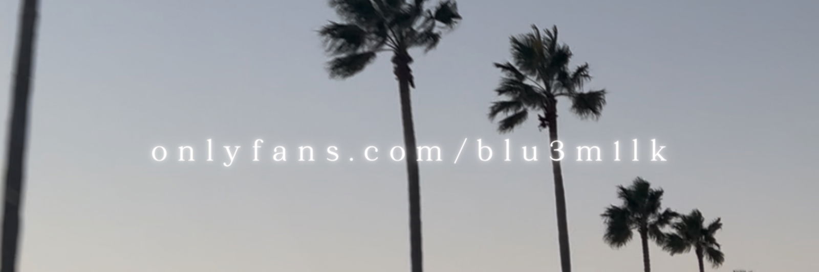 🐱 asher quinn 🐱 photo