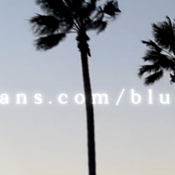 🐱 asher quinn 🐱 photo