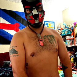 Pup Danté, Huntington Beach CA