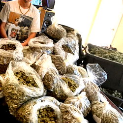 Devin Glenhill photo