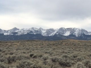 Shannon taylor photo