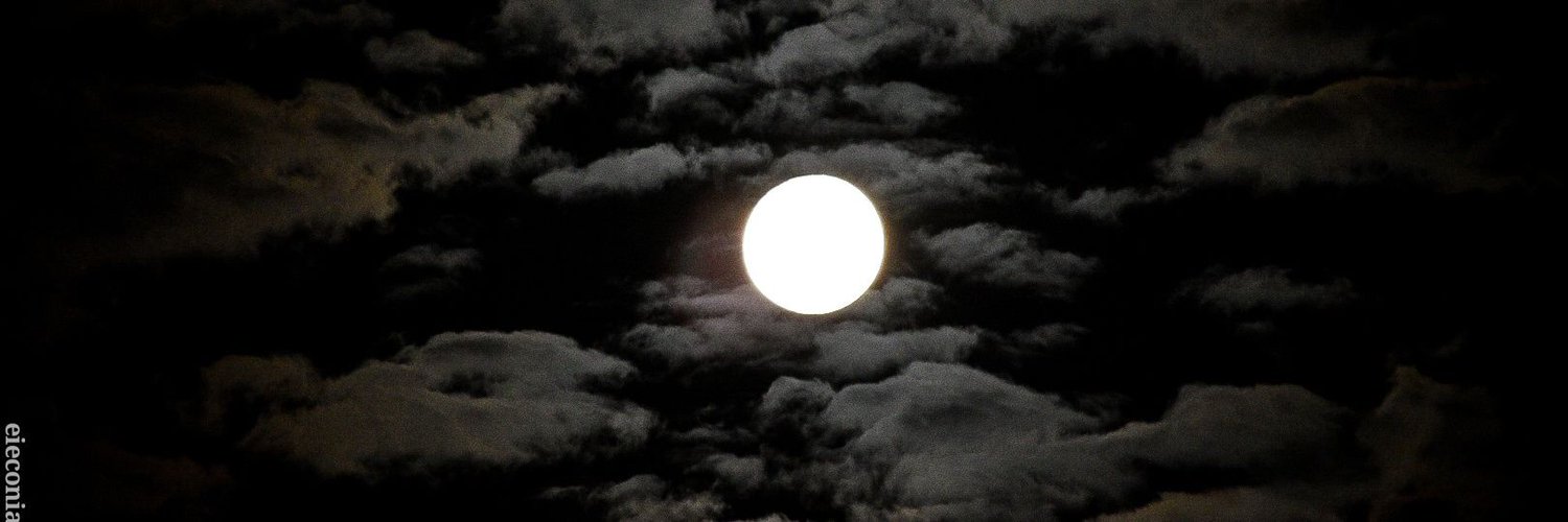 barrington blooutchabach photo