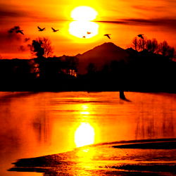 Sunset with Birds over Water
