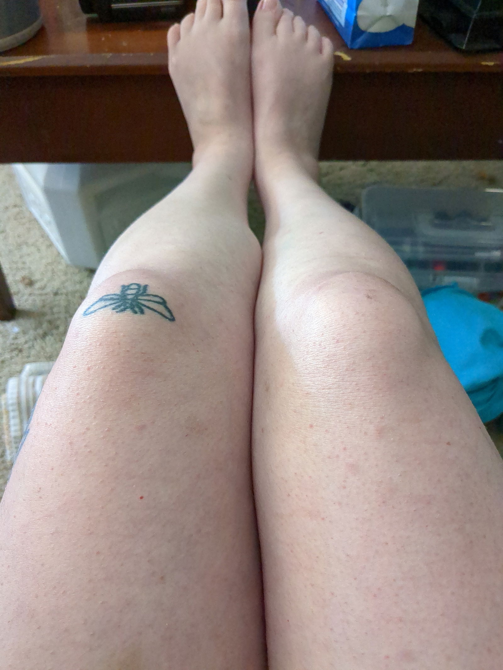 Astrid Ties free photo