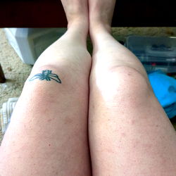 Astrid Ties free photo