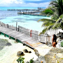 Alexa Scarlett photo