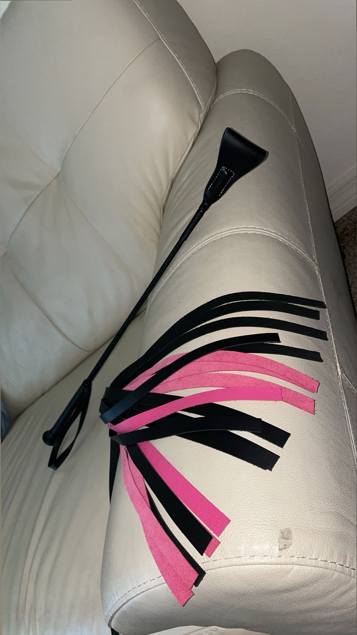 Kate Rose 🌹 photo