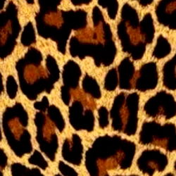 ๐N A Z A R E N A๐ photo