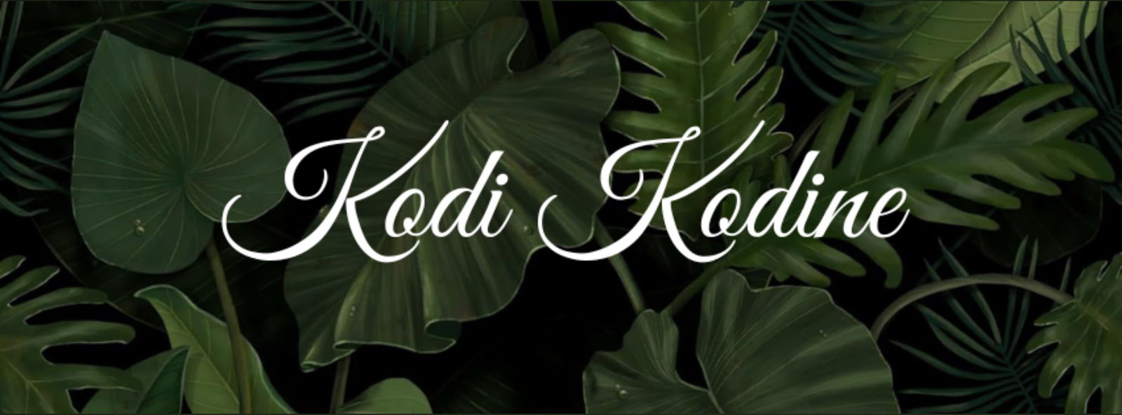 🍃🤍𝒦𝑜𝒹𝒾 𝒦𝑜𝒹𝒾𝓃𝑒🤍🍃 photo