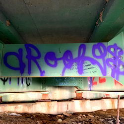 drooly ⚔️🤡 photo