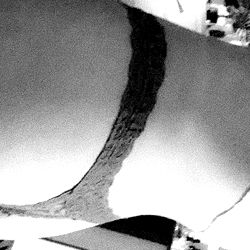 A captivating OnlyFans model, Baby E from Brisbane