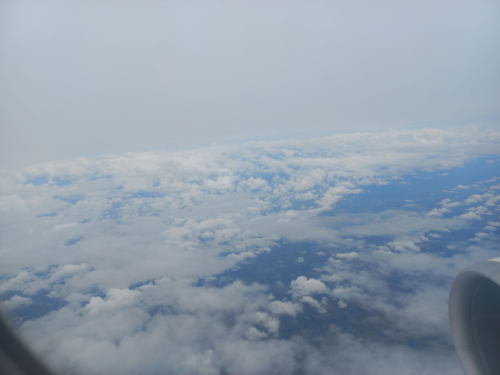 Thecolombiandick photo