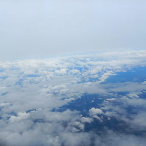 Thecolombiandick photo