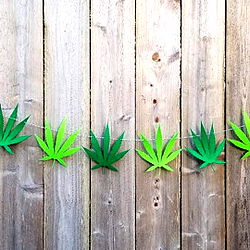 Birthday Celebration for Amanda_Marie with a Creezy Decor