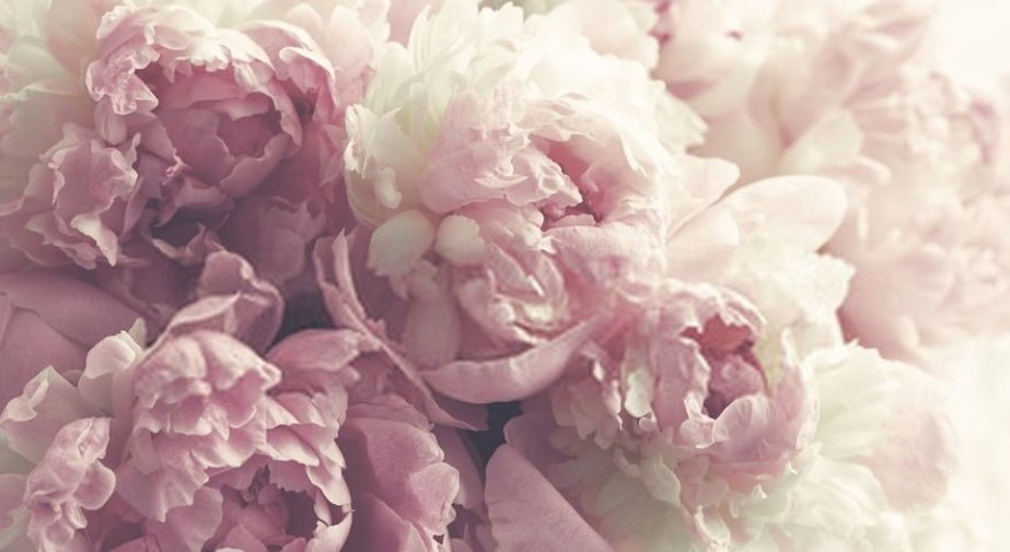 ❣️AmandaBlack♡❣️ photo