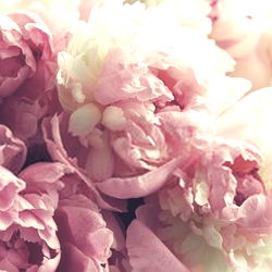 ❣️AmandaBlack♡❣️ photo