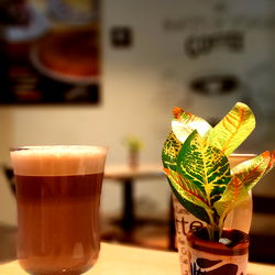 América Amaro Santillán photo