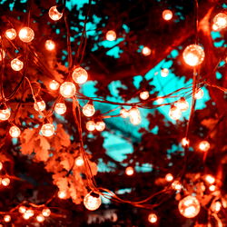 Annie St. James photo