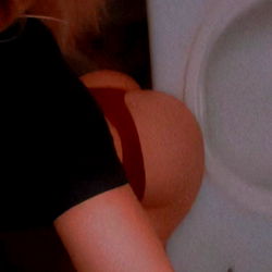 Honey Sitting on Top of a Washing Machine