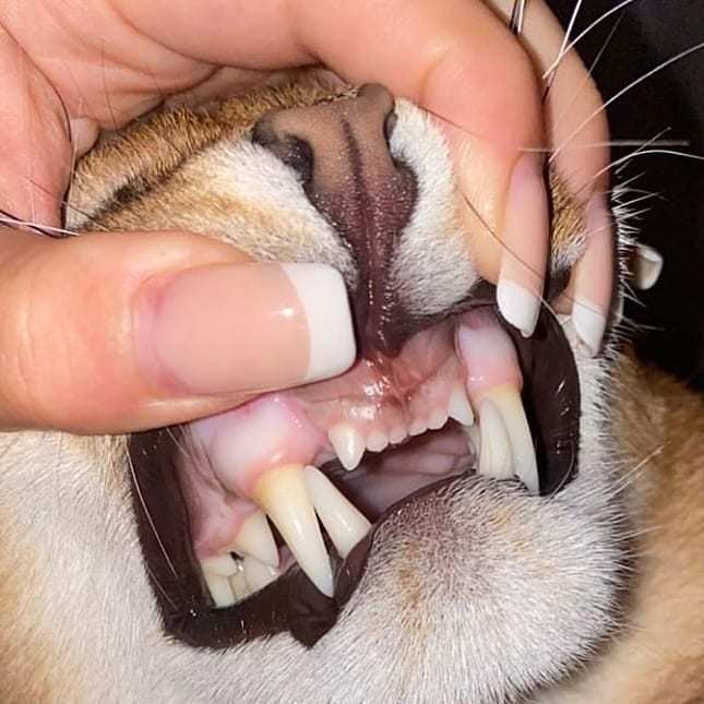 AlexysTwink4ever photo