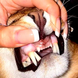 AlexysTwink4ever photo