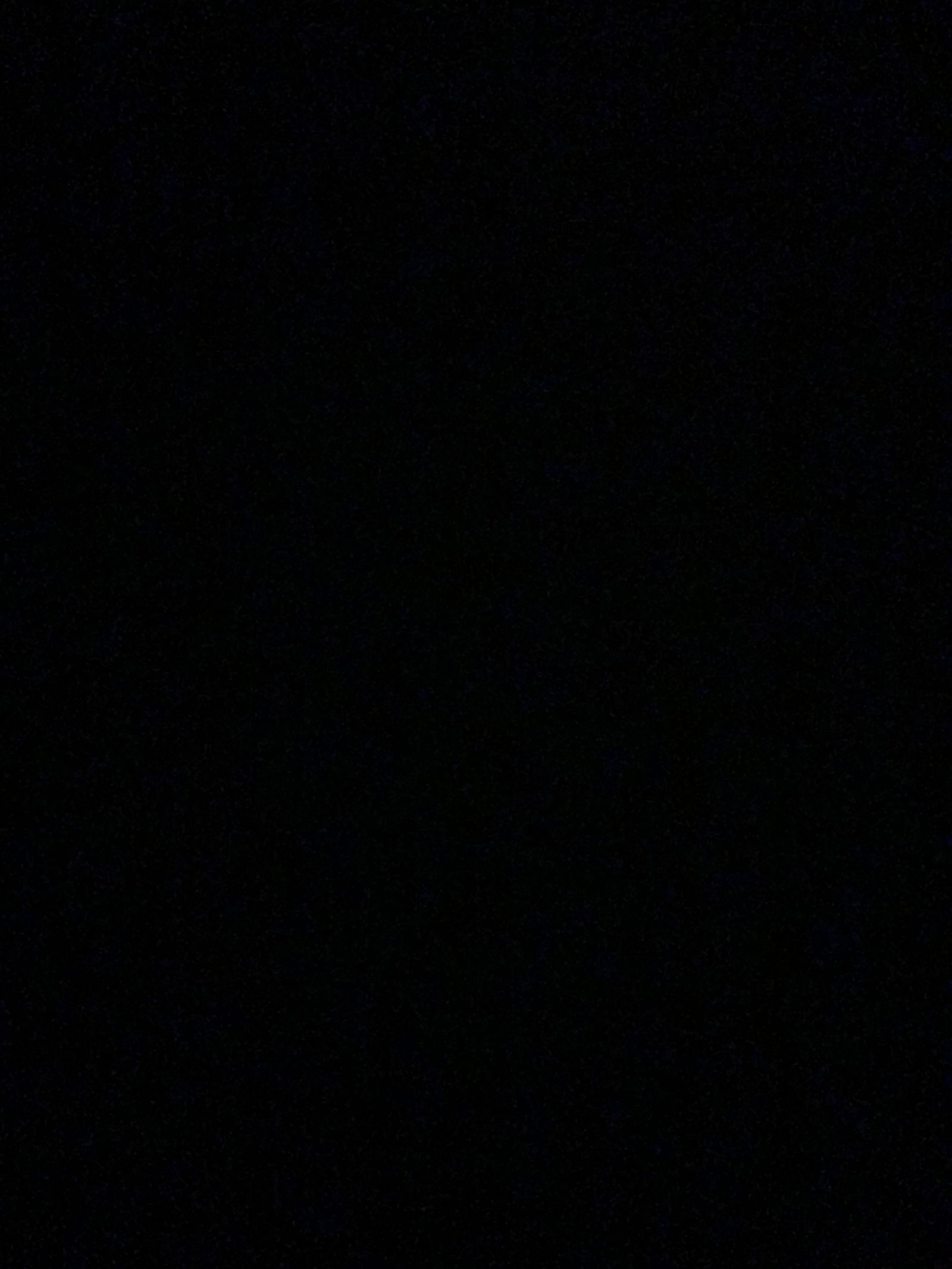 The Camera Man photo