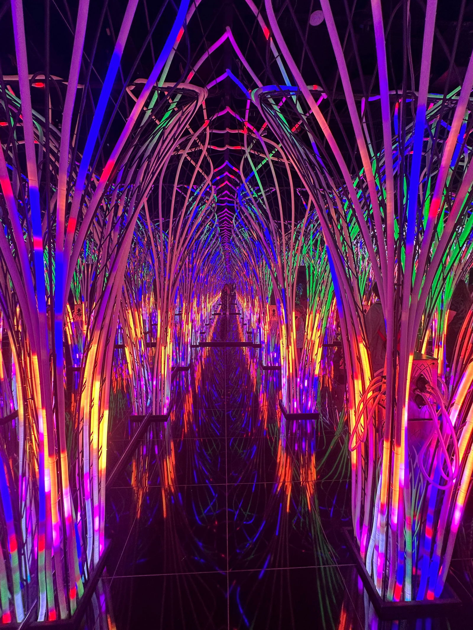 Gwen’s MVFs ❤️💋😜 photo