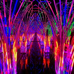 Gwen’s MVFs ❤️💋😜 photo