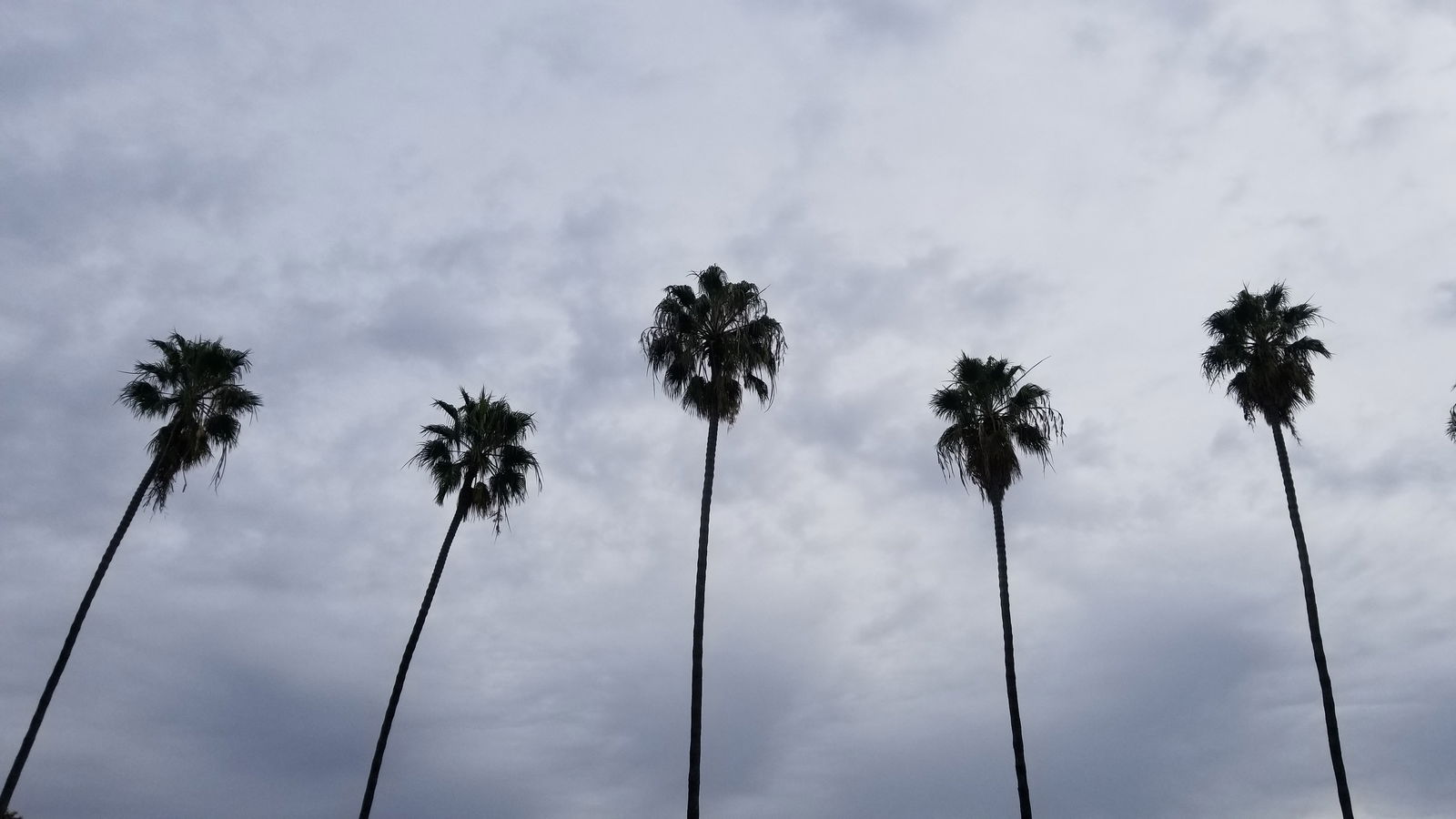 Click wisely 😉 photo